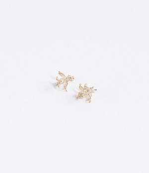 Cypress Seeds Earrings - Silver