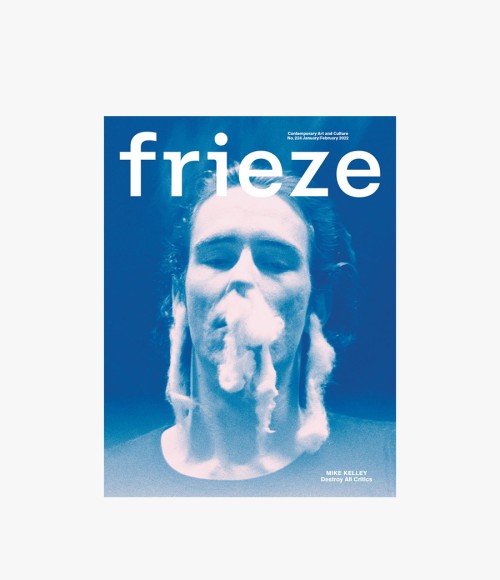 Frieze Issue n.224